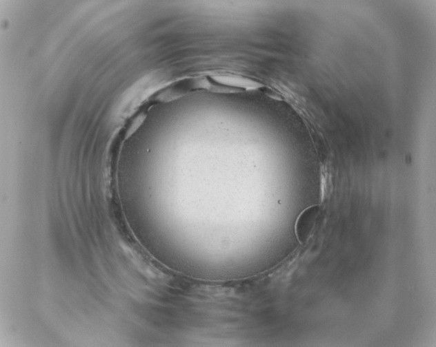 X0000087390339200705042016