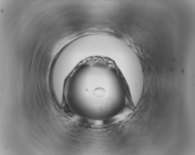 X0000087390340200705042016