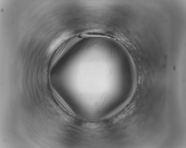 X0000087390341200705042016