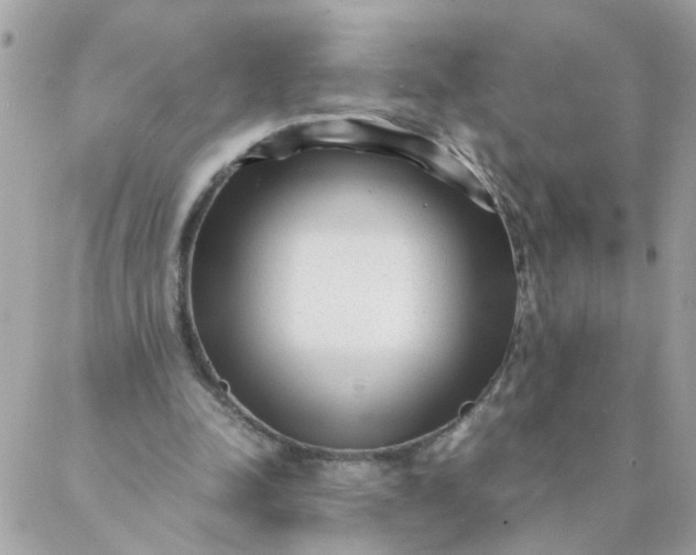 X0000087390342200705042016