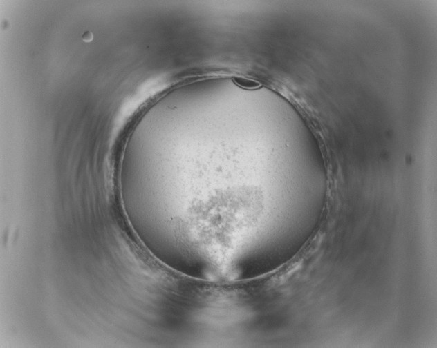 X0000087390343200705042016