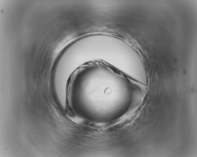 X0000087390344200705042016