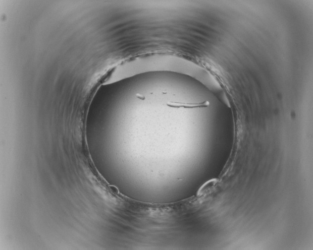 X0000087390345200705042016