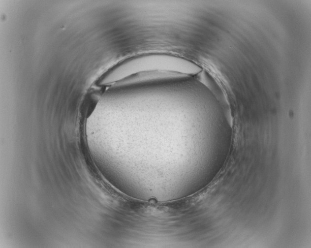 X0000087390346200705042016