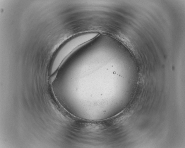 X0000087390347200705042016