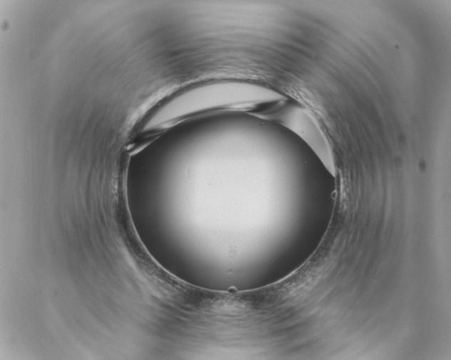 X0000087390348200705042016