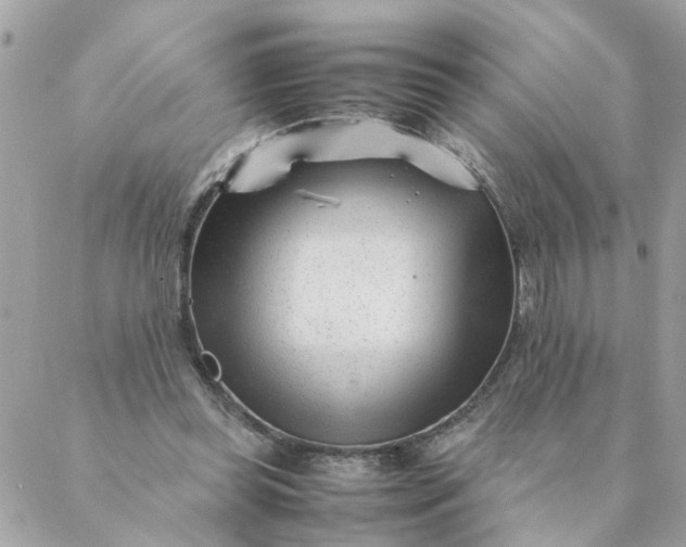 X0000087390349200705042016