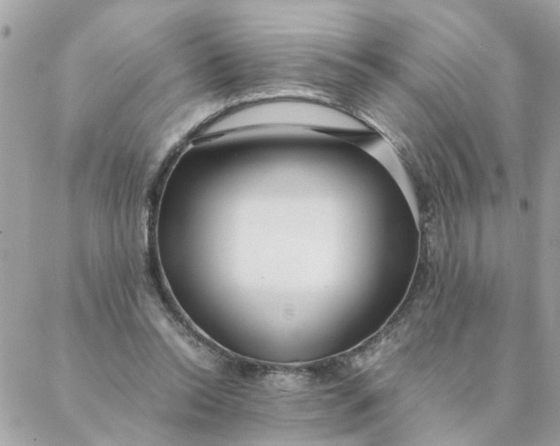 X0000087390350200705042016