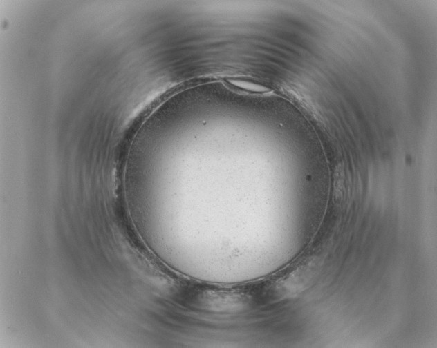 X0000087390351200705042016