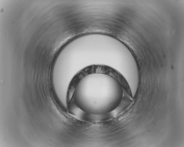 X0000087390352200705042016