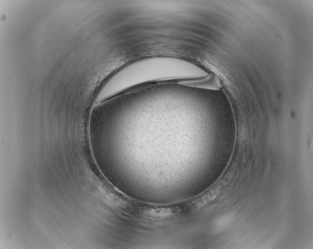 X0000087390353200705042016