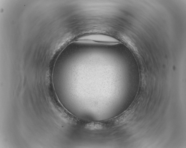 X0000087390354200705042016