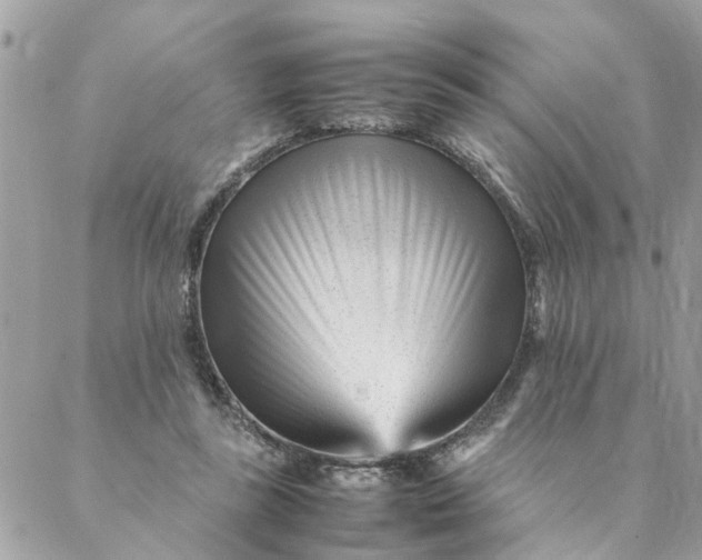 X0000087390355200705042016