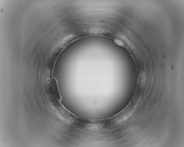 X0000087390356200705042016