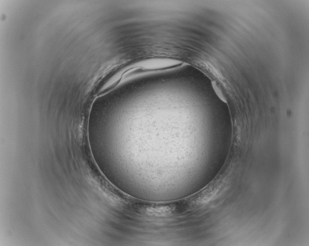 X0000087390357200705042016