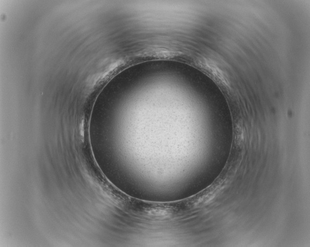 X0000087390358200705042016