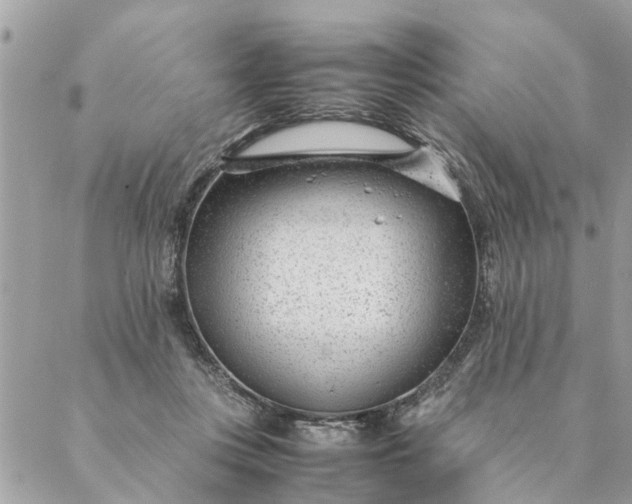 X0000087390359200705042016