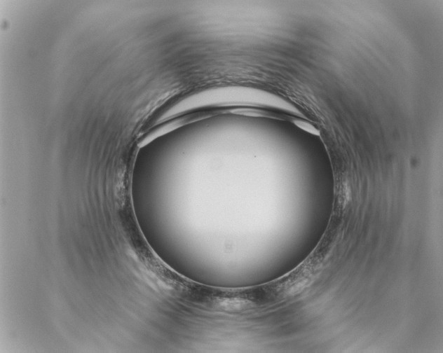 X0000087390360200705042016