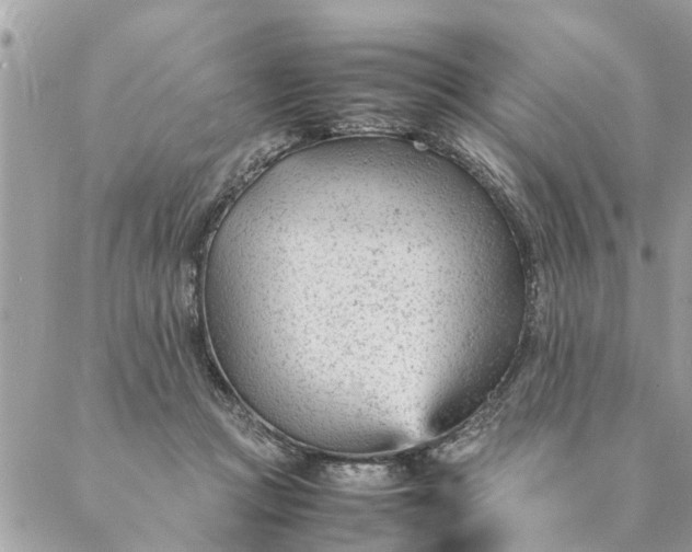 X0000087390361200705042016