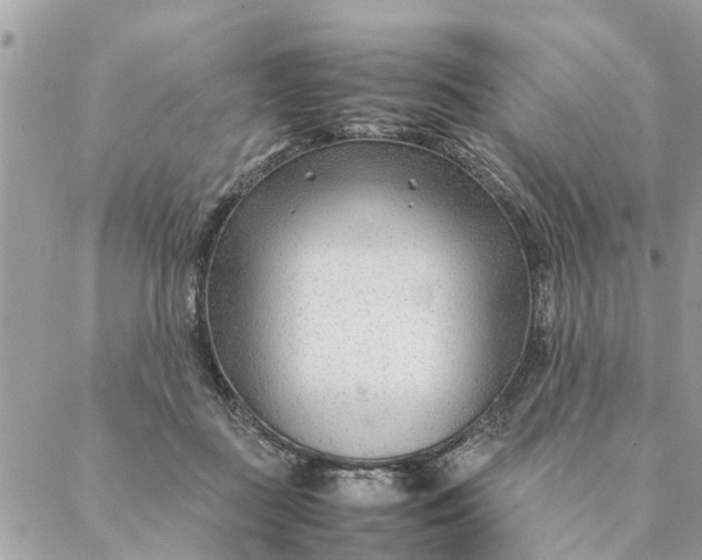 X0000087390363200705042016