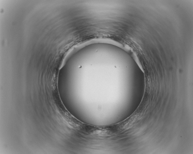 X0000087390364200705042016