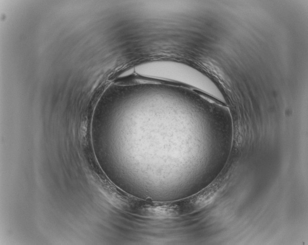 X0000087390365200705042016