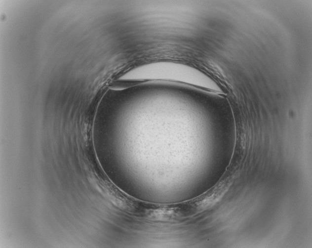 X0000087390366200705042016