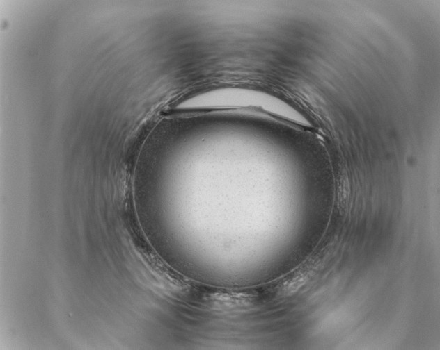 X0000087390367200705042016