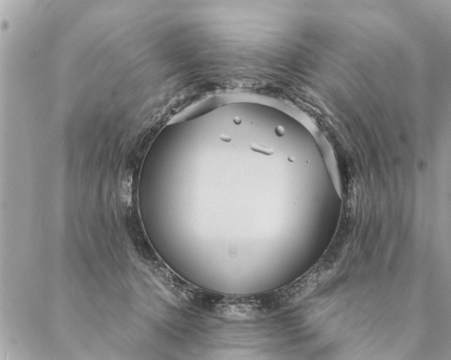 X0000087390368200705042016