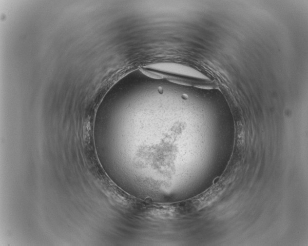 X0000087390369200705042016