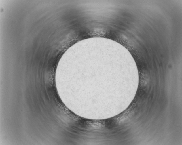 X0000087390370200705042016