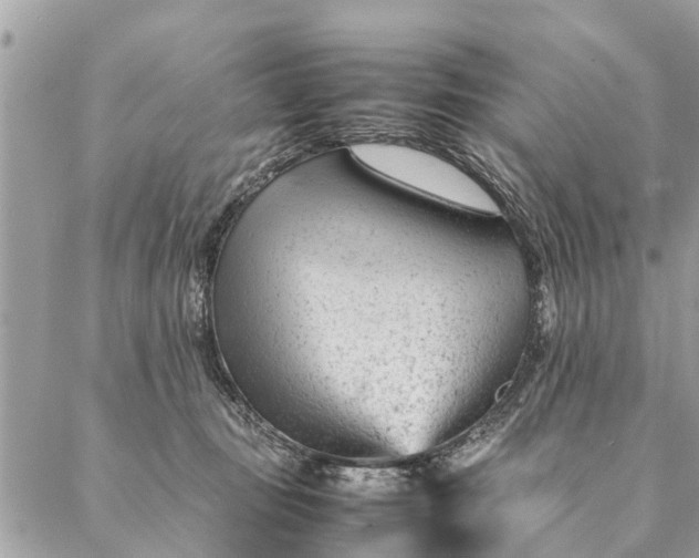 X0000087390371200705042016