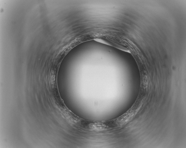 X0000087390372200705042016