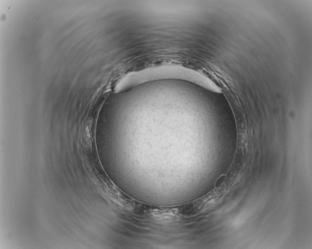 X0000087390373200705042016