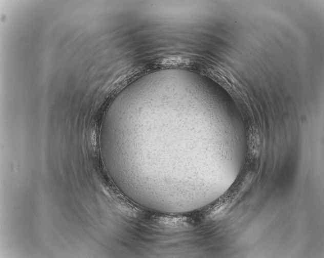 X0000087390375200705042016