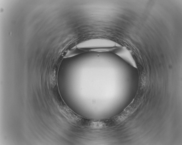 X0000087390376200705042016