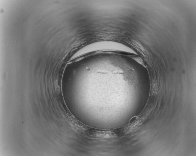 X0000087390377200705042016