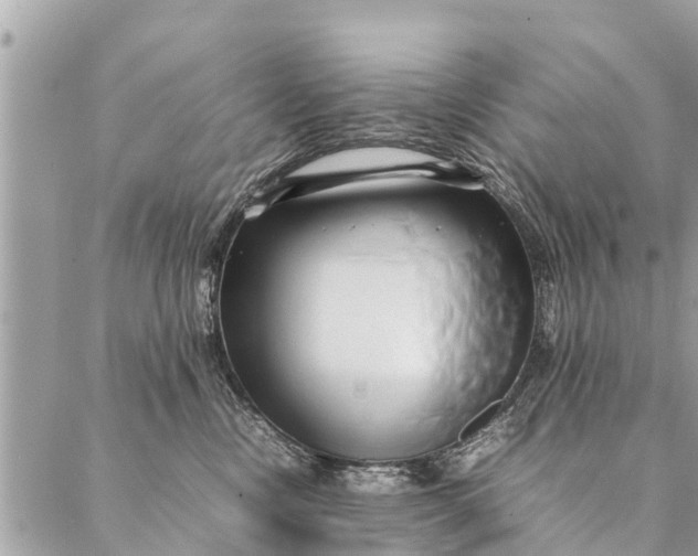 X0000087390378200705042016