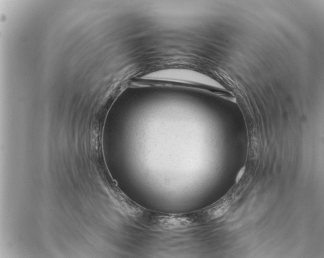 X0000087390379200705042016