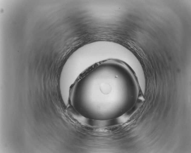 X0000087390380200705042016