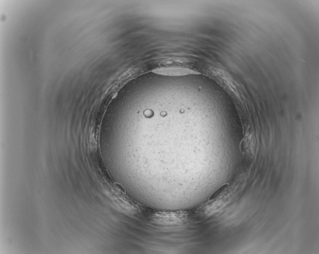 X0000087390381200705042016