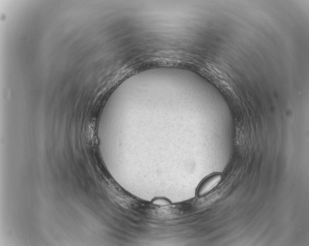 X0000087390382200705042016