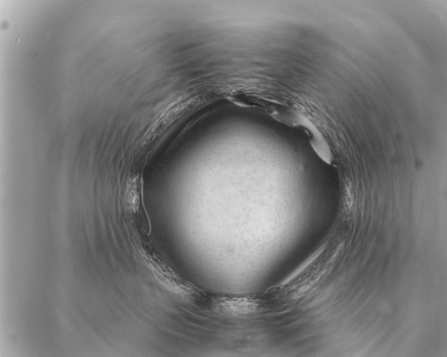 X0000087390383200705042016