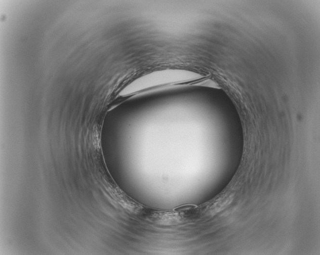 X0000087390384200705042016