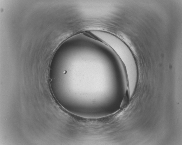 X0000087390385200705042016