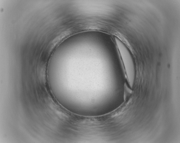 X0000087390386200705042016