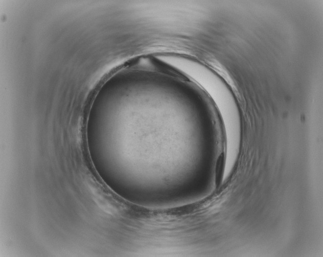 X0000087390387200705042016