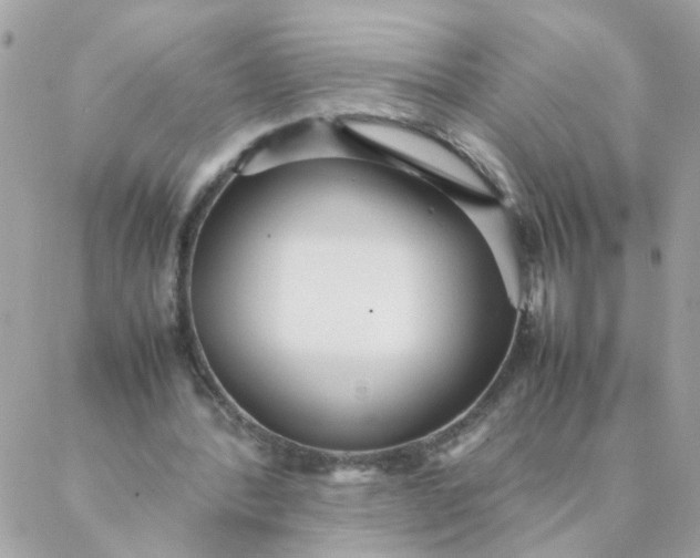 X0000087390388200705042016