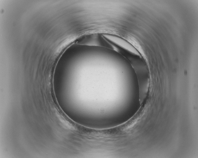 X0000087390389200705042016