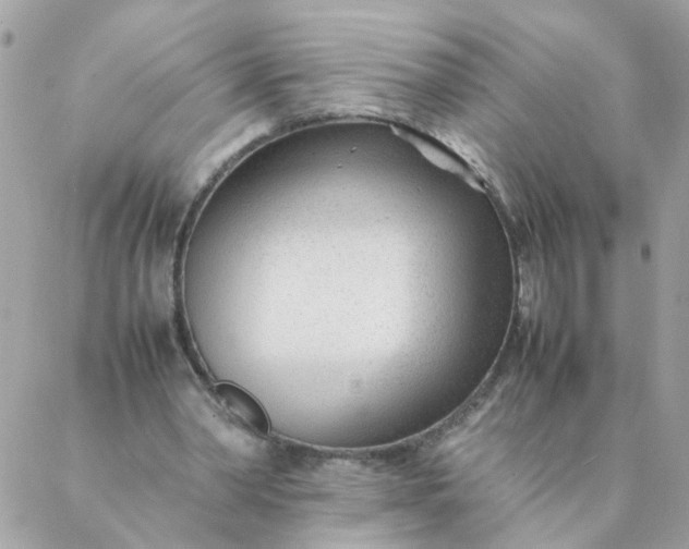 X0000087390390200705042016